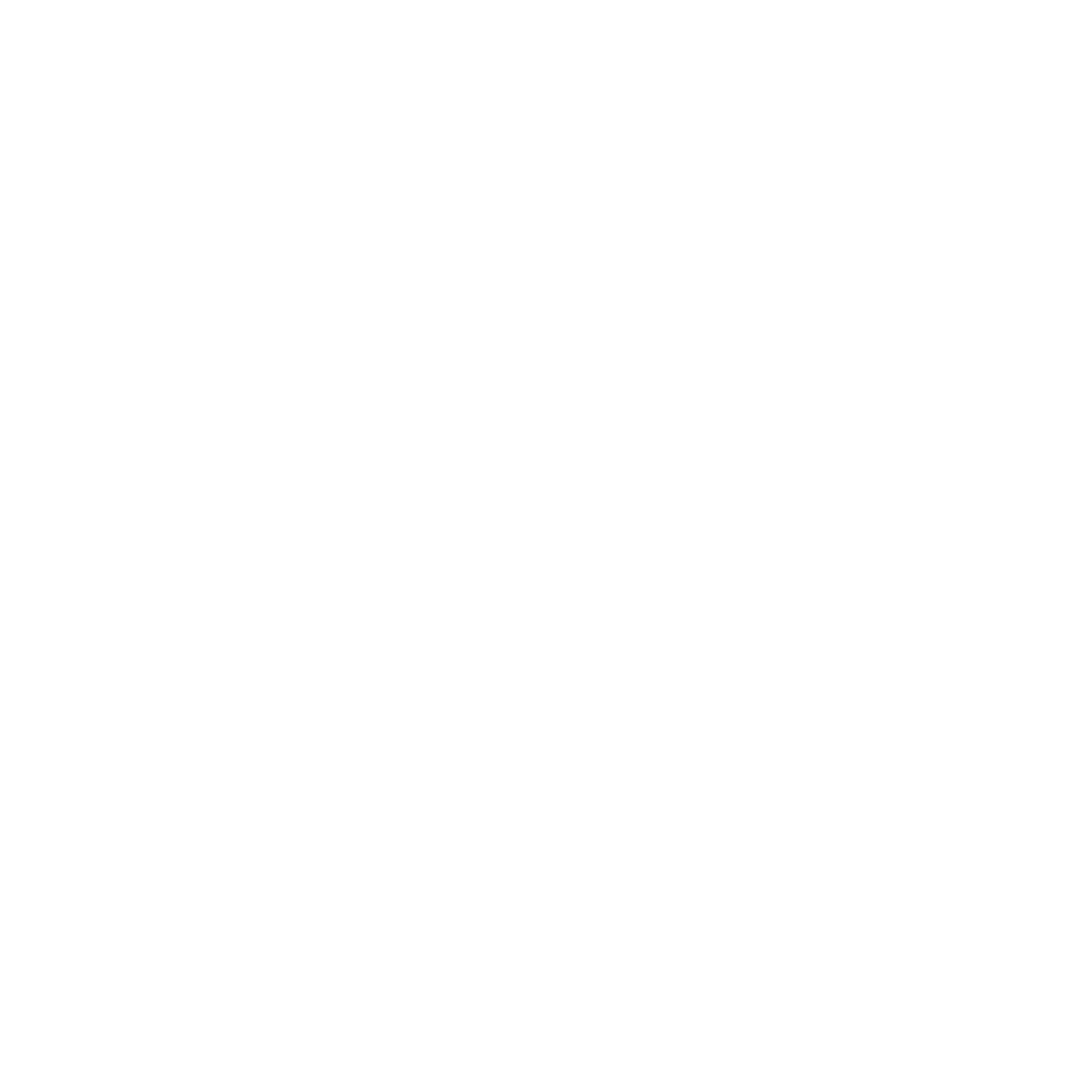 wix 1
